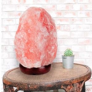 Massive Salt Lamp🌸💗🌸